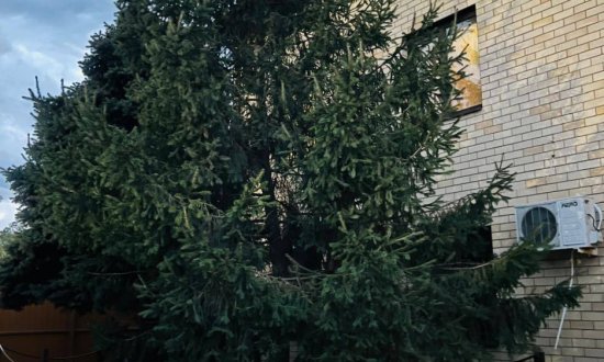 Пансионат «Доброе Сердце» фото 4